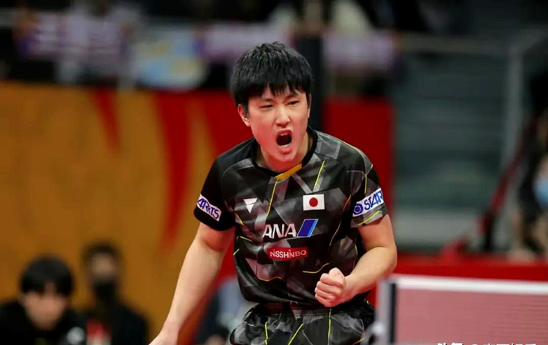 包含德国乒乓球队碾压英国乒乓球队，张本智和统治全场的词条